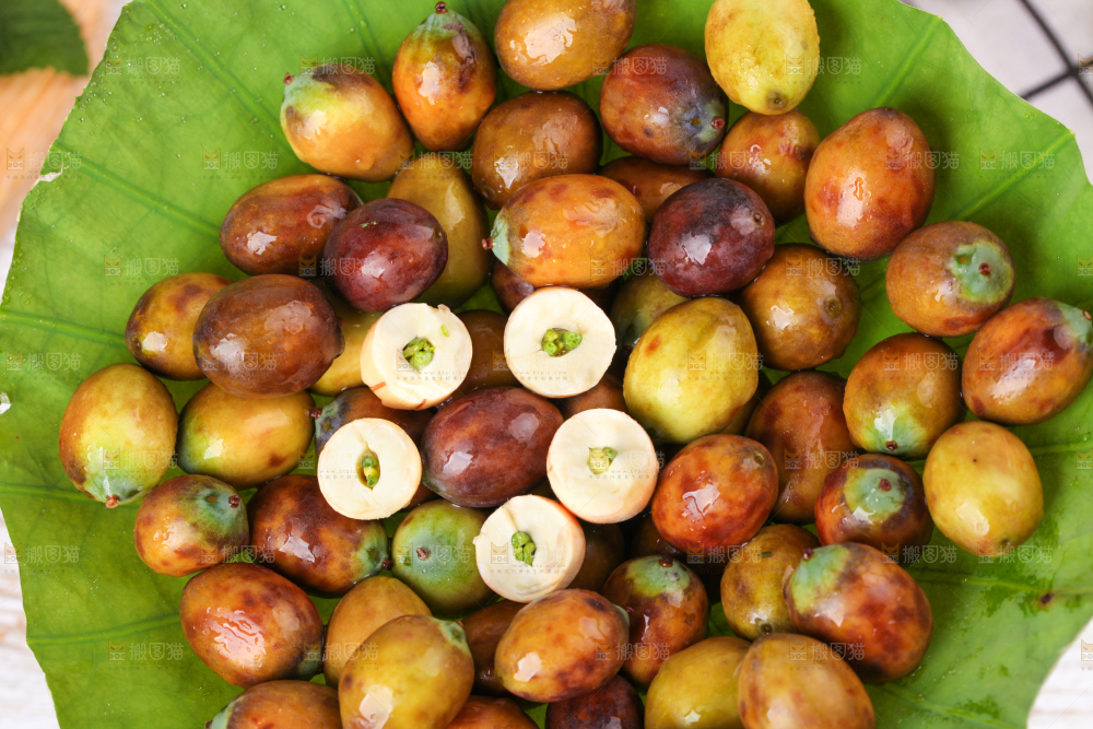 荷叶上摆放着莲蓬子