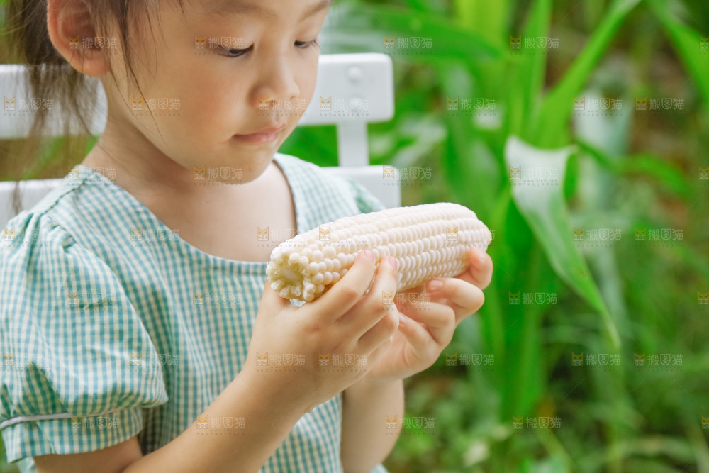 小女孩正在吃牛奶水果玉米