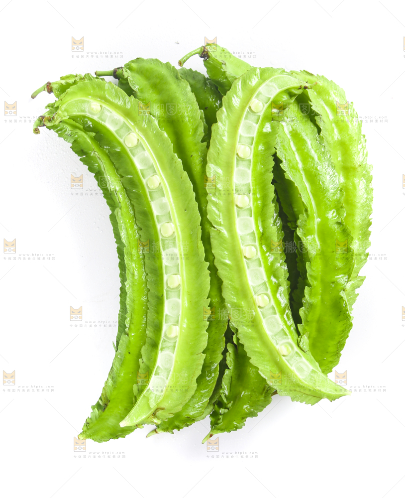 白底上摆放着四棱豆