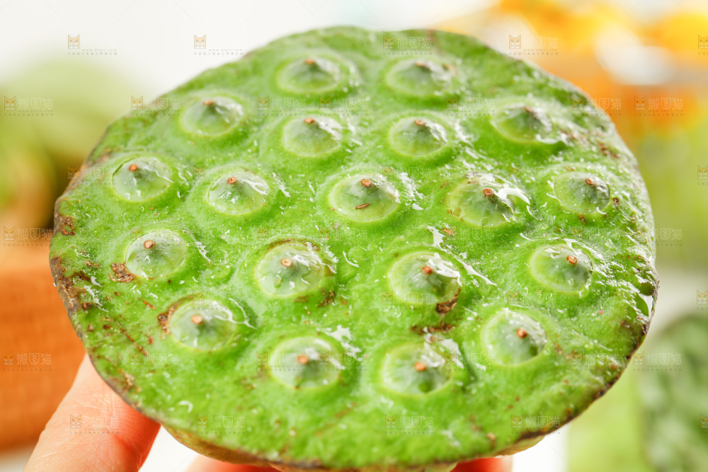 手里拿着莲蓬