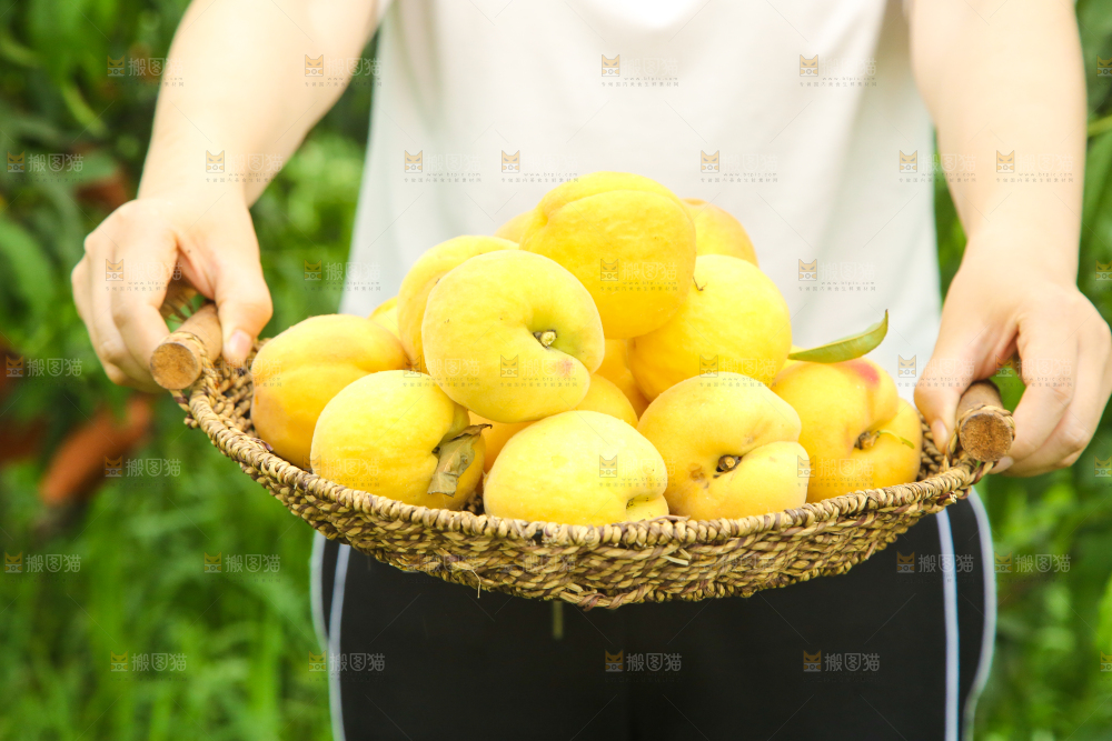 手里端着一篮黄桃