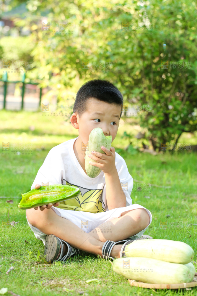 小男孩正在吃羊角蜜