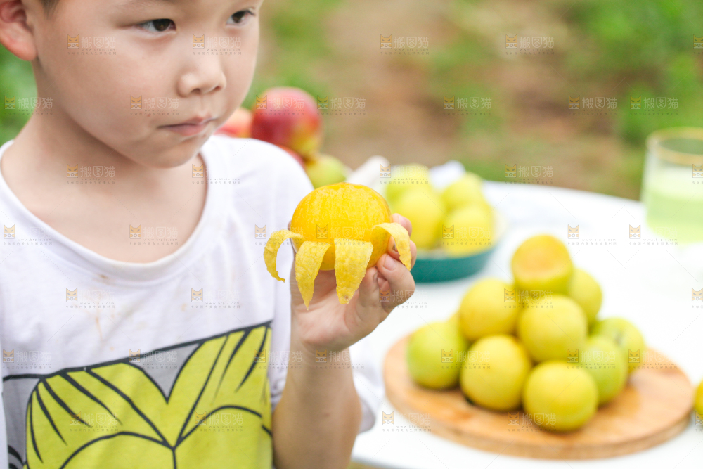 小男孩正在吃李子