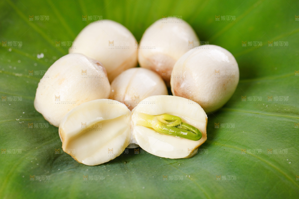 荷叶上放着新鲜莲子