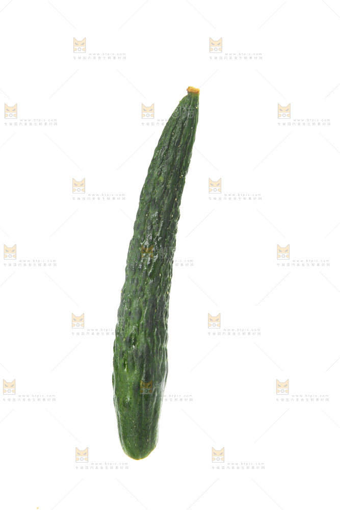 白底上摆放着新鲜黄瓜妞