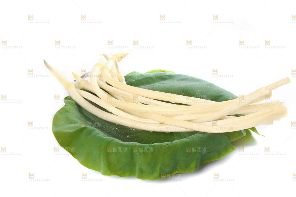 荷叶上放着新鲜藕带