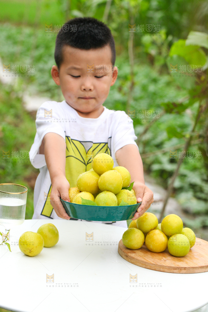 小男孩手里端着黄金奈李