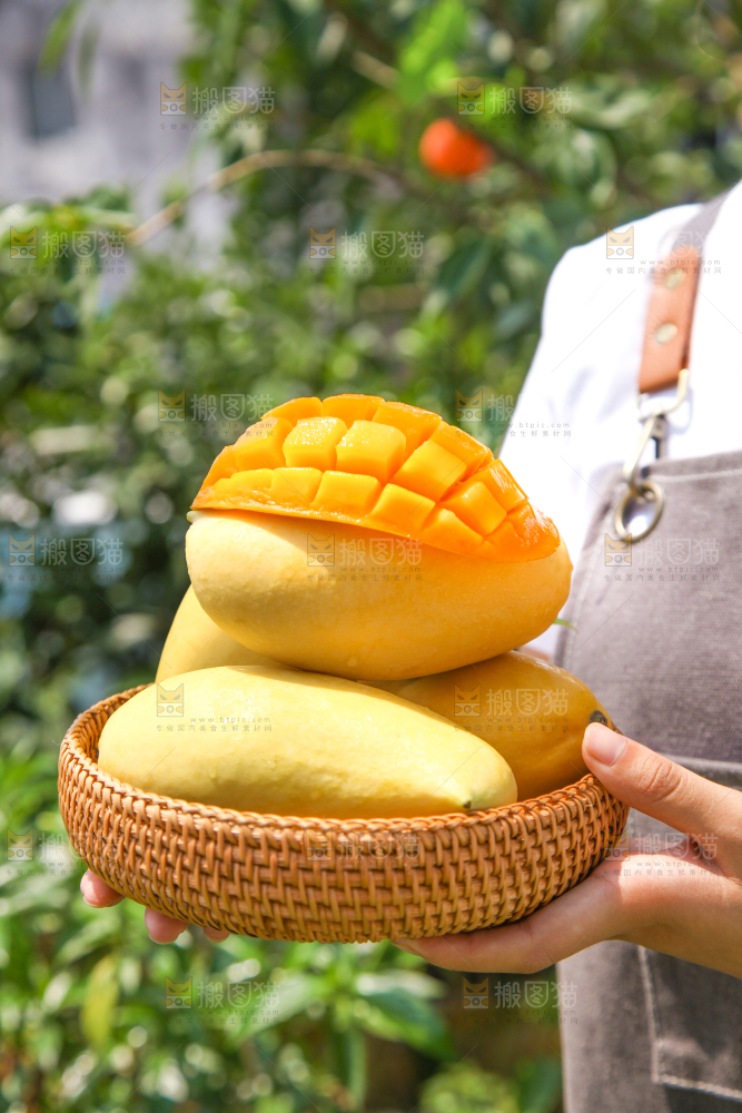 手里端着一篮芒果