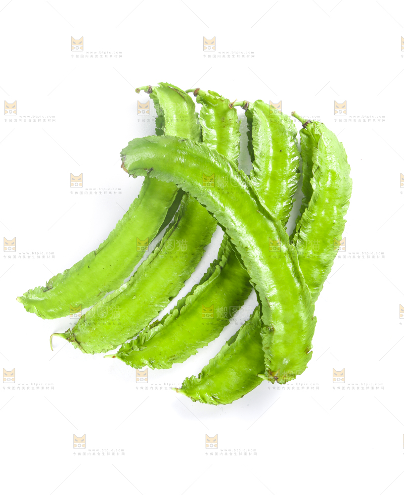 白底上摆放着四棱豆