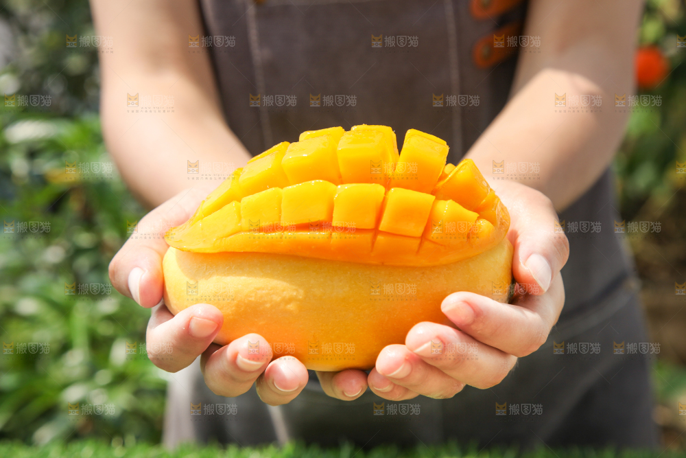 手里拿着芒果