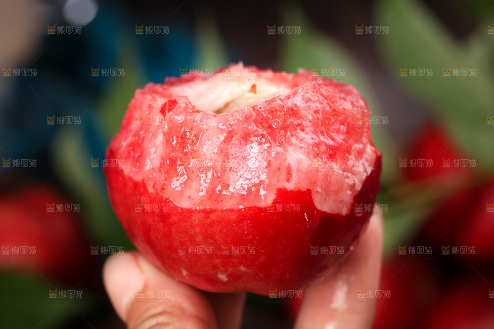 手里拿着红心油桃