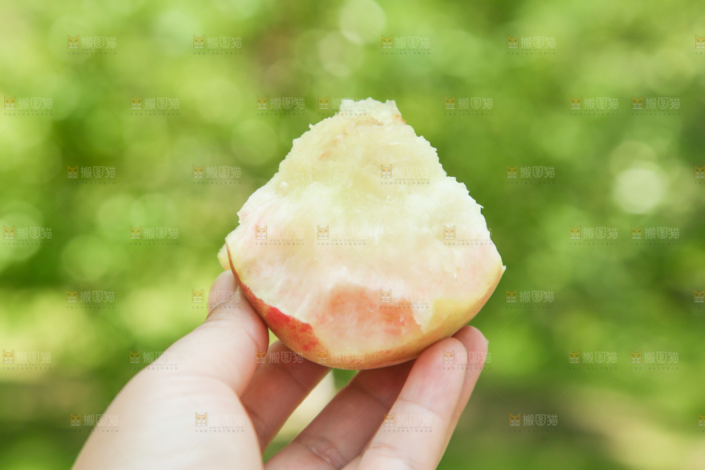 手里拿着新鲜毛桃