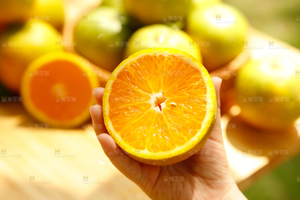 木底上摆放着湖北秭归夏橙