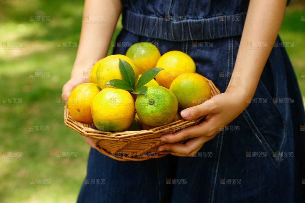 手里端着一篮秭归夏橙