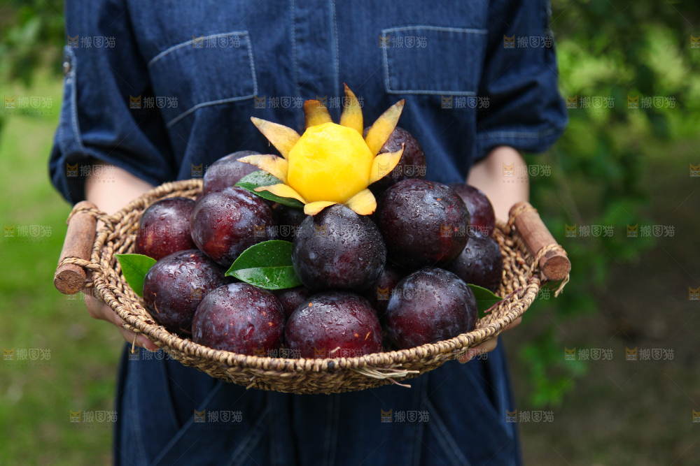 手里端着一篮黑布林