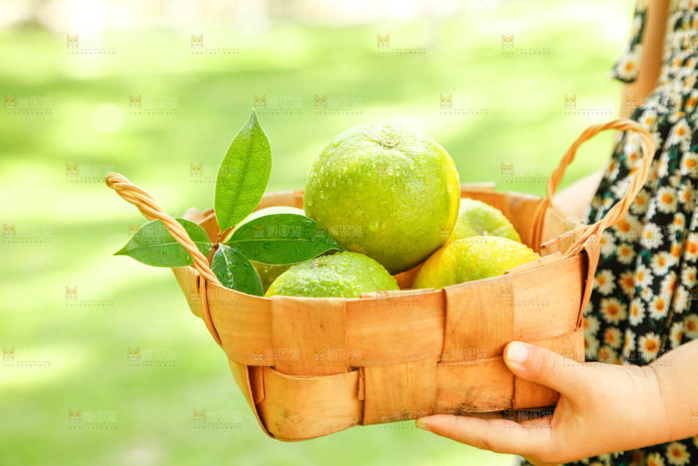 手里提着一篮新鲜夏橙