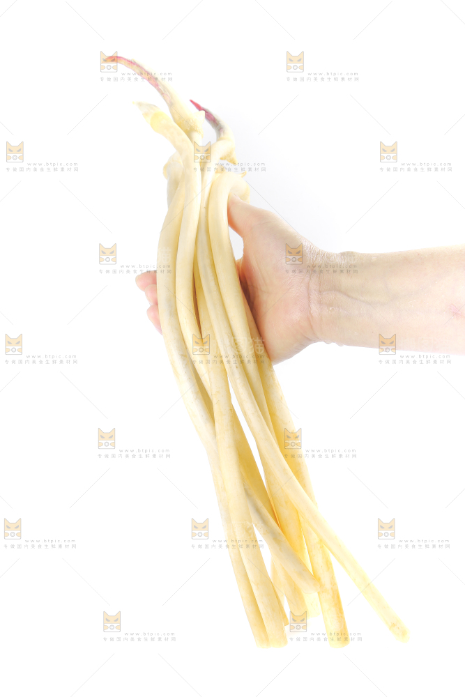 手里拿着一把新鲜藕带