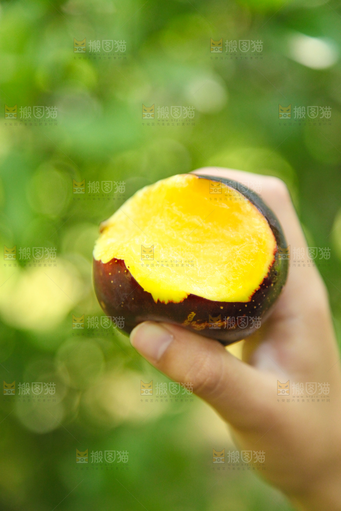 手里拿着黑布李