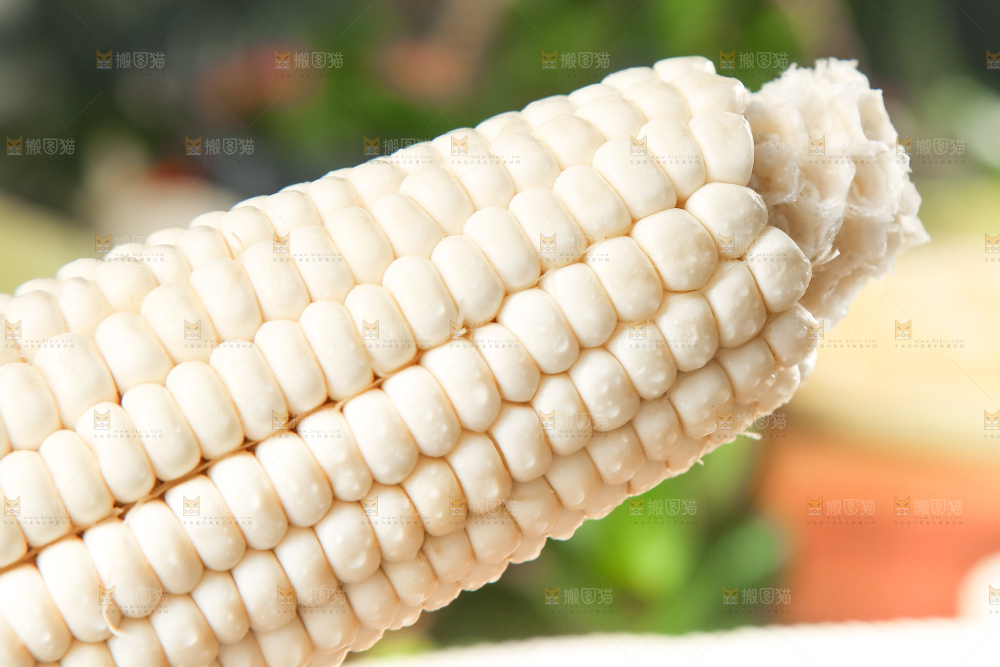 手里拿着白玉米