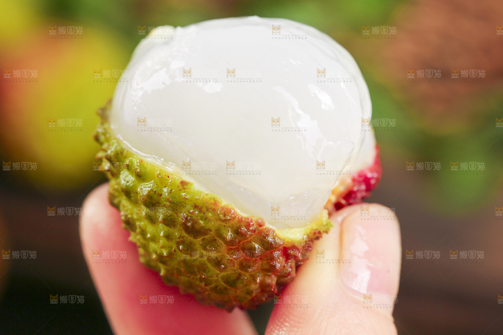 妃子笑荔枝