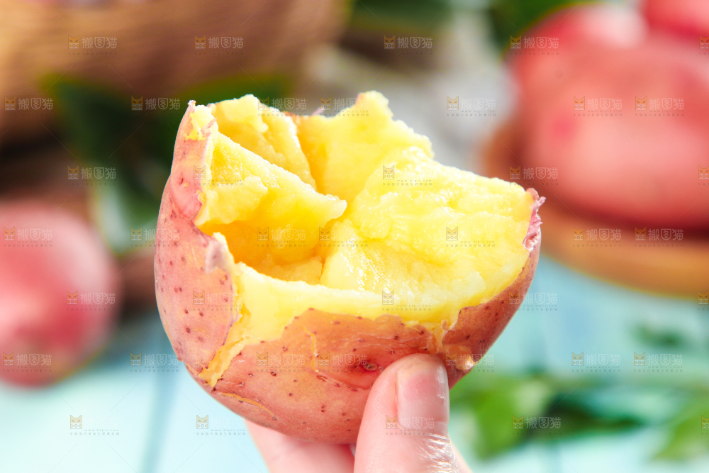 手里拿着红皮土豆