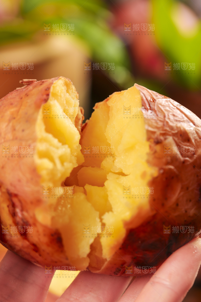 手里拿着红皮土豆