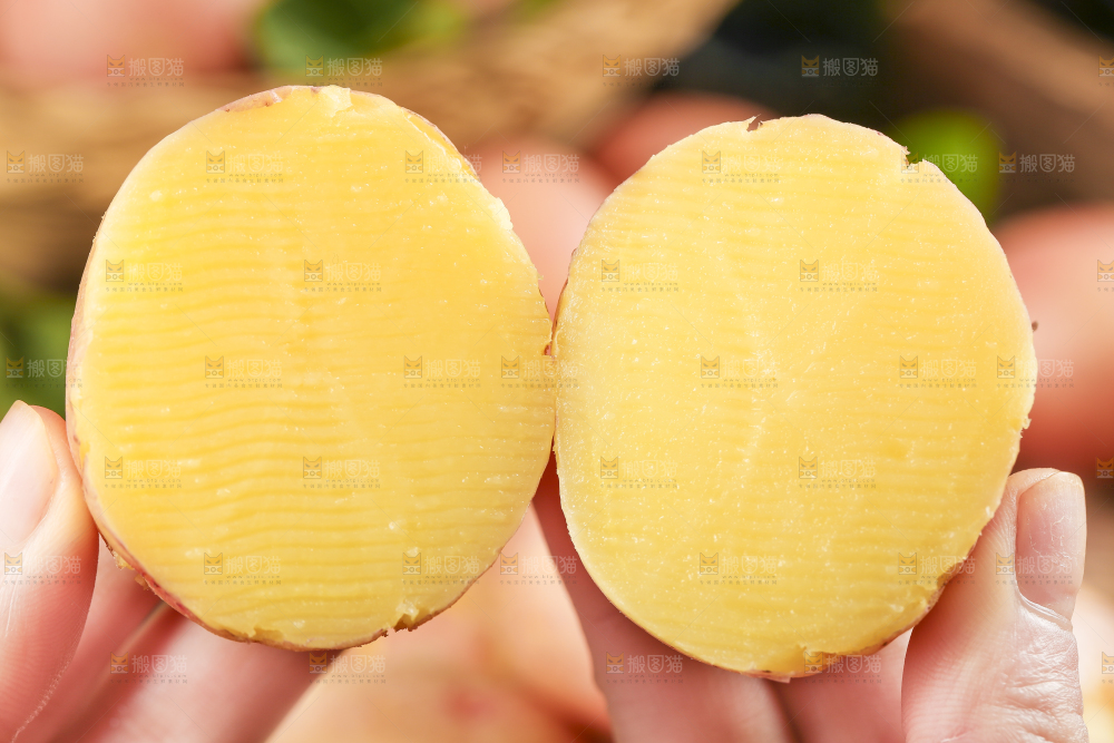 手里拿着红皮土豆
