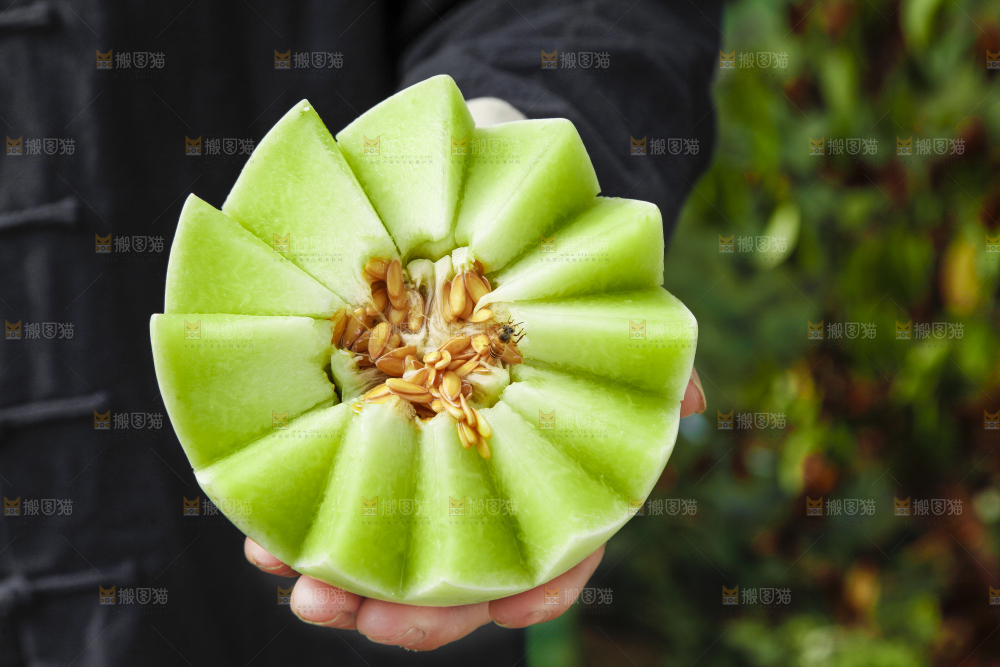 手里拿着玉菇香瓜