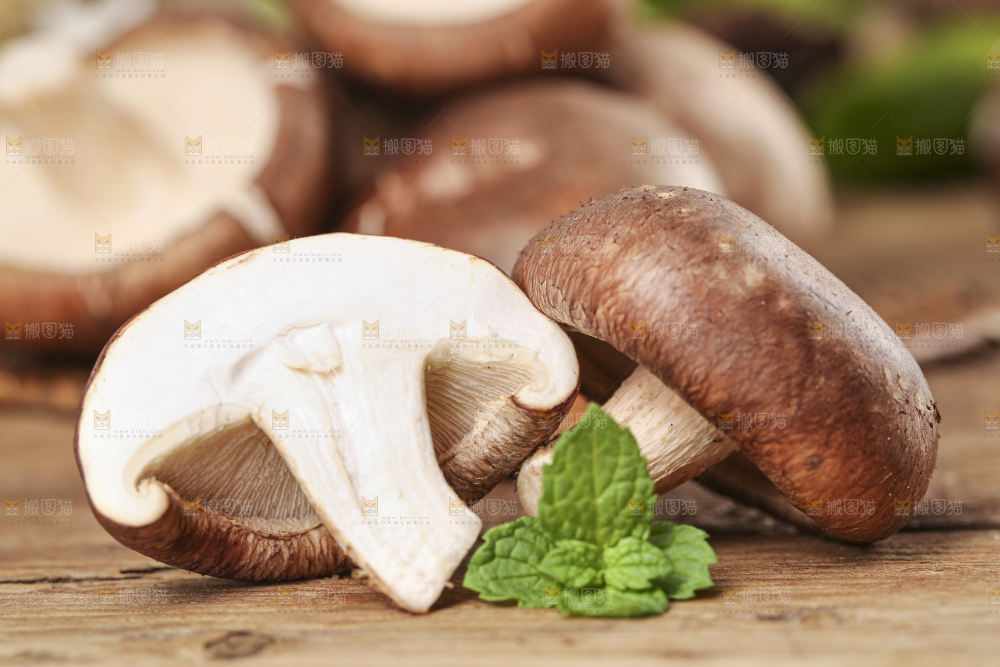 木底上摆放着菌菇