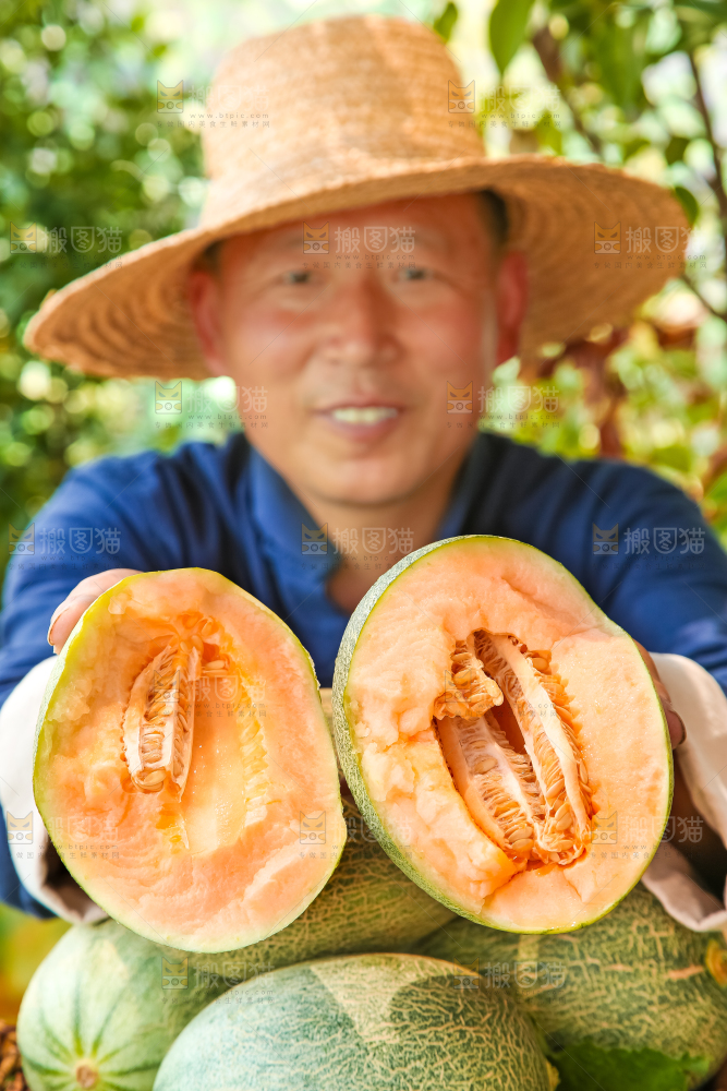 农民手里拿着哈密瓜