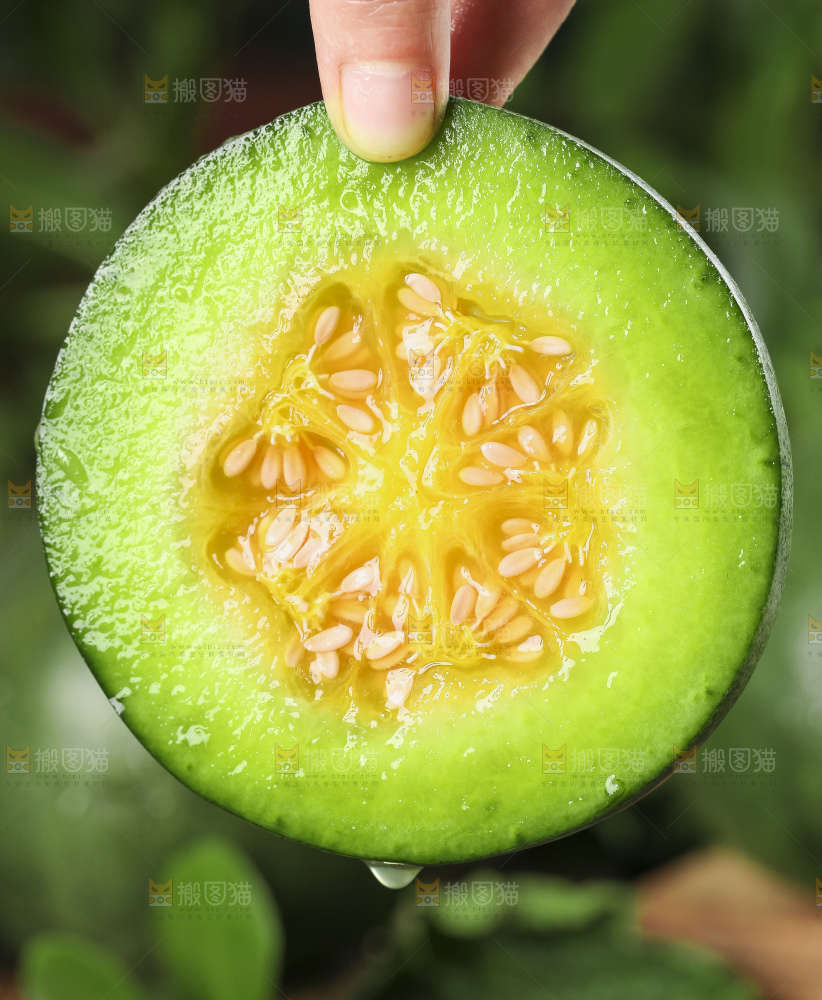 手里拿着绿宝甜瓜