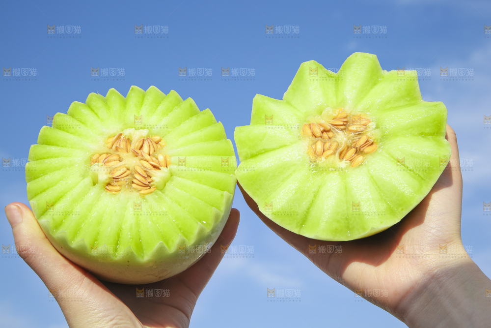 手里拿着玉菇甜瓜