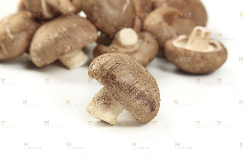 白底上放着香菇