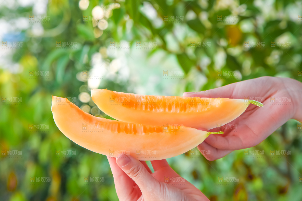 手里拿着甜瓜