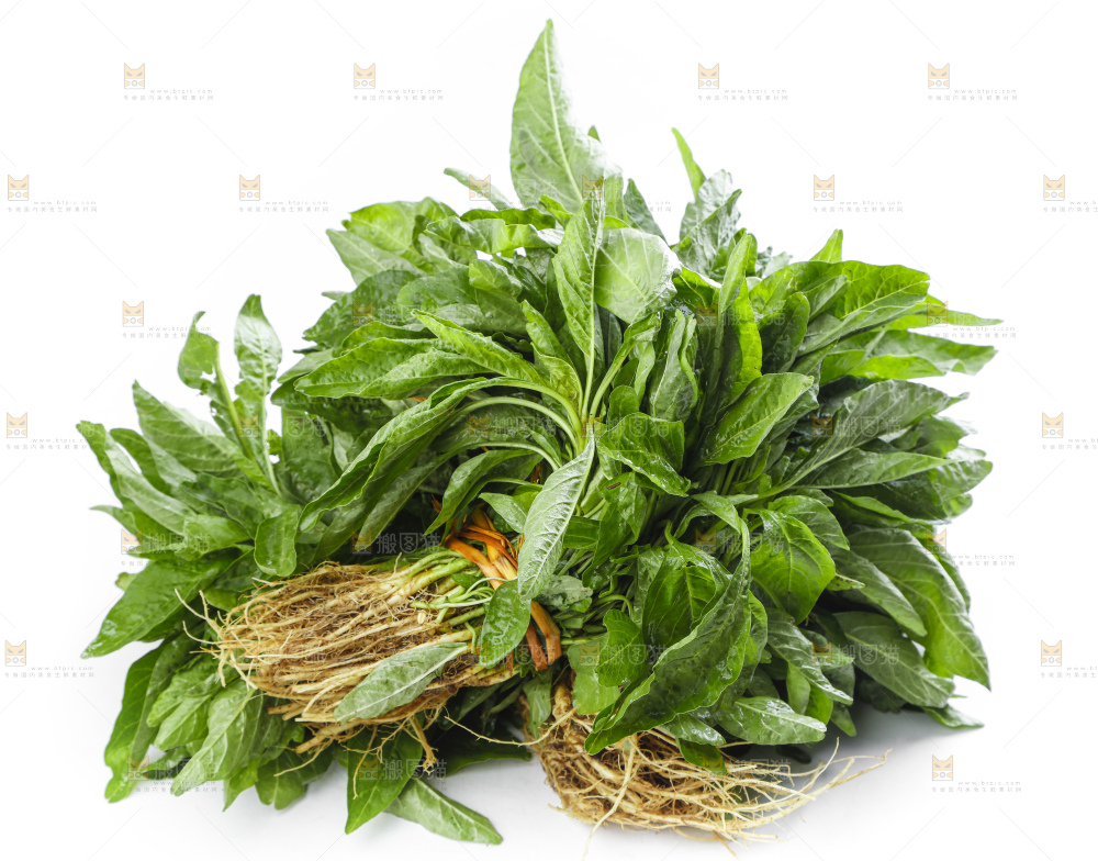 白底上放着一把苋菜
