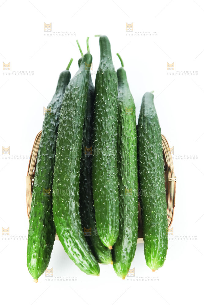 长黄瓜