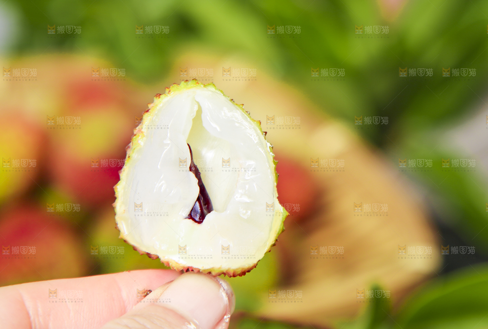 手里拿着妃子笑荔枝