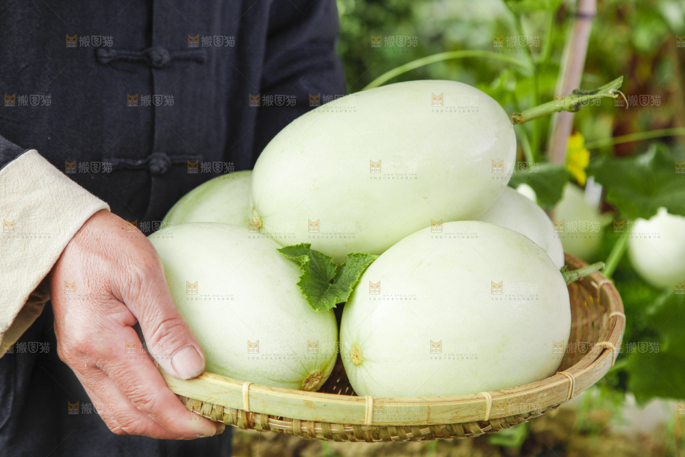手里端着一篮玉菇甜瓜