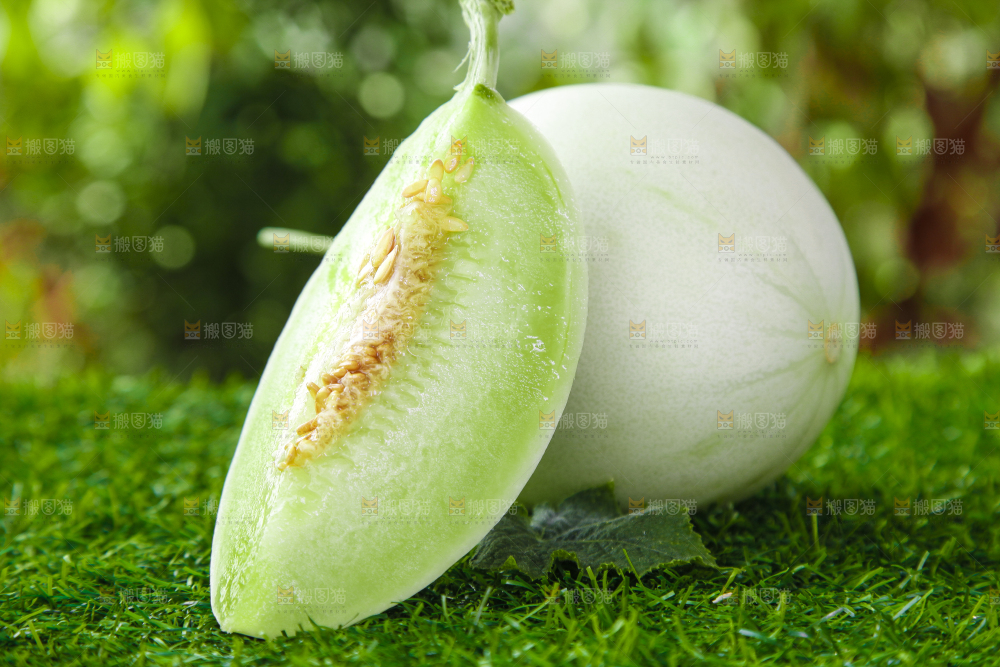 绿草地上摆放着玉菇甜瓜