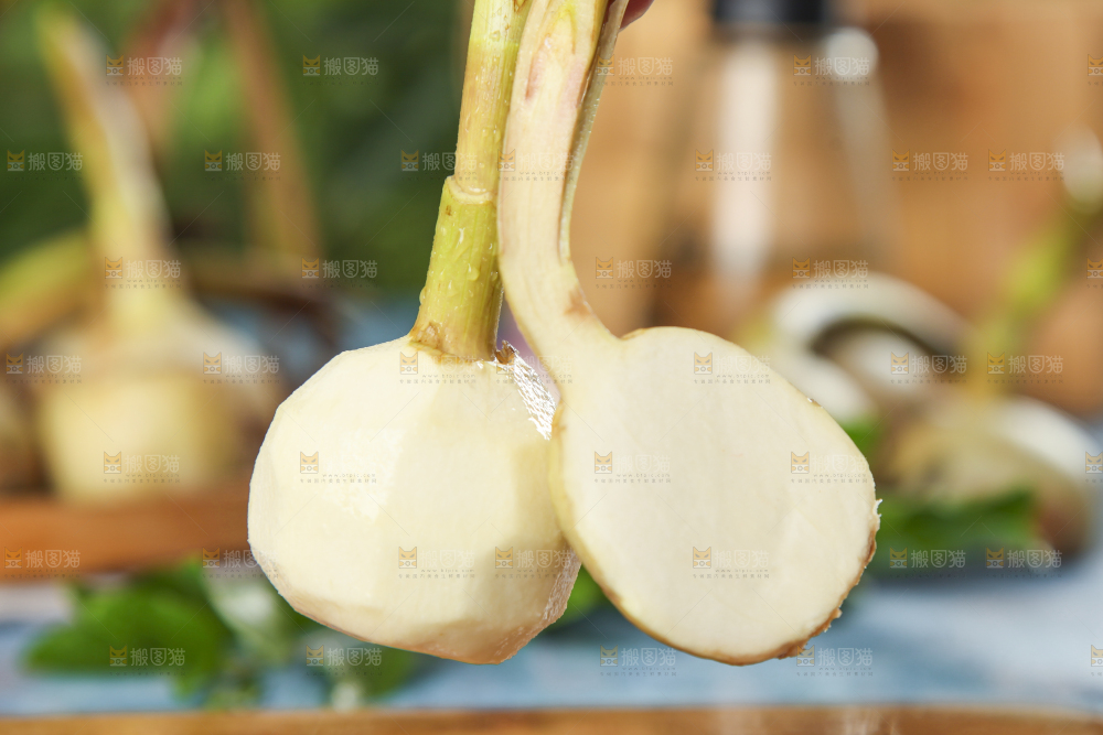 手里拿着白慈菇