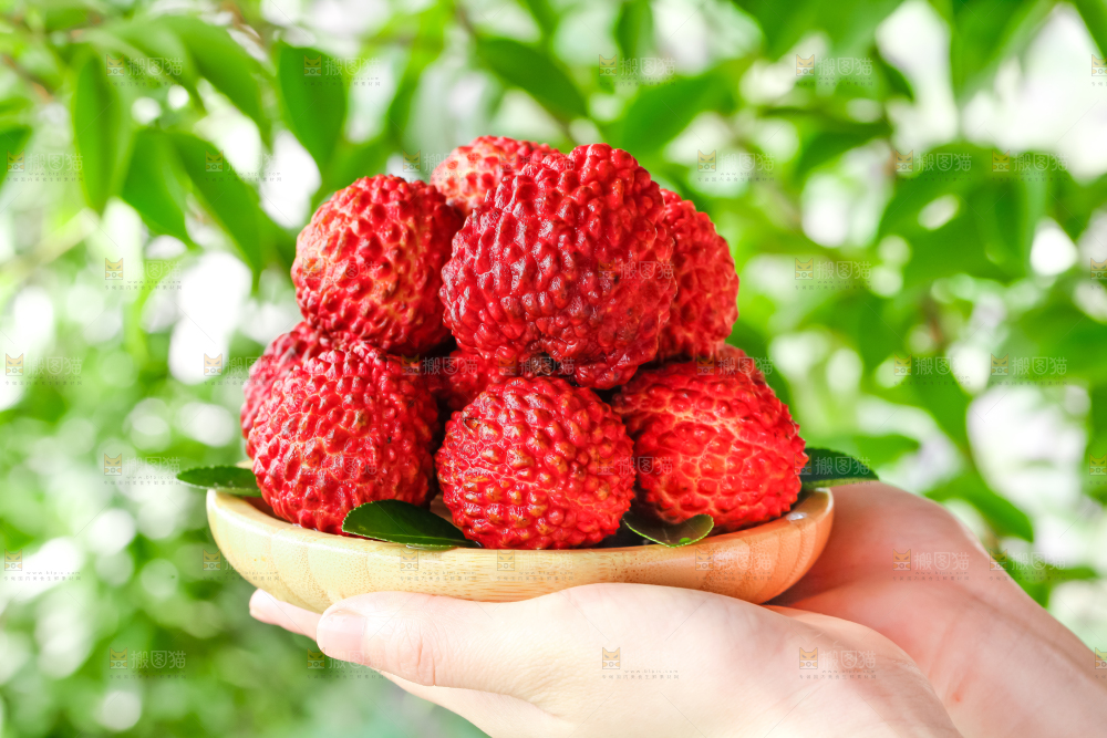 手里捧着一把荔枝