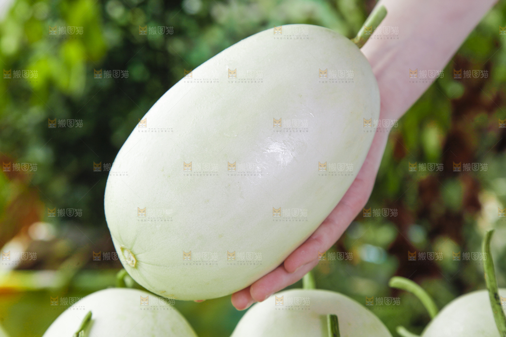 手里拿着玉菇香瓜