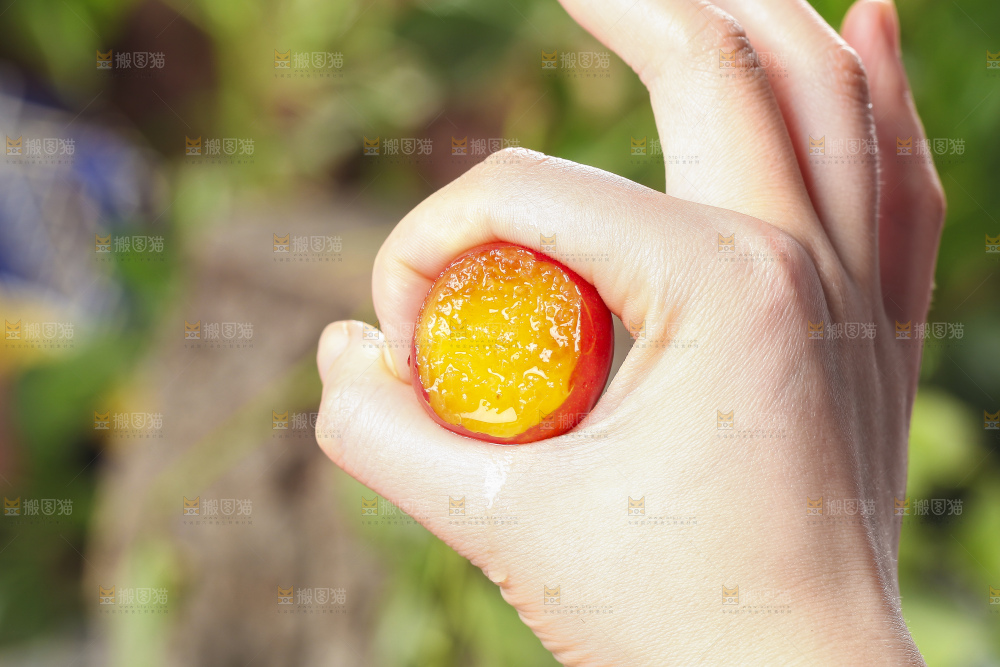 手里拿着脆李子