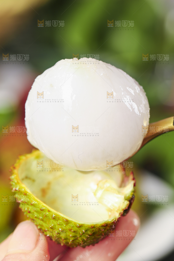 手里拿着荔枝