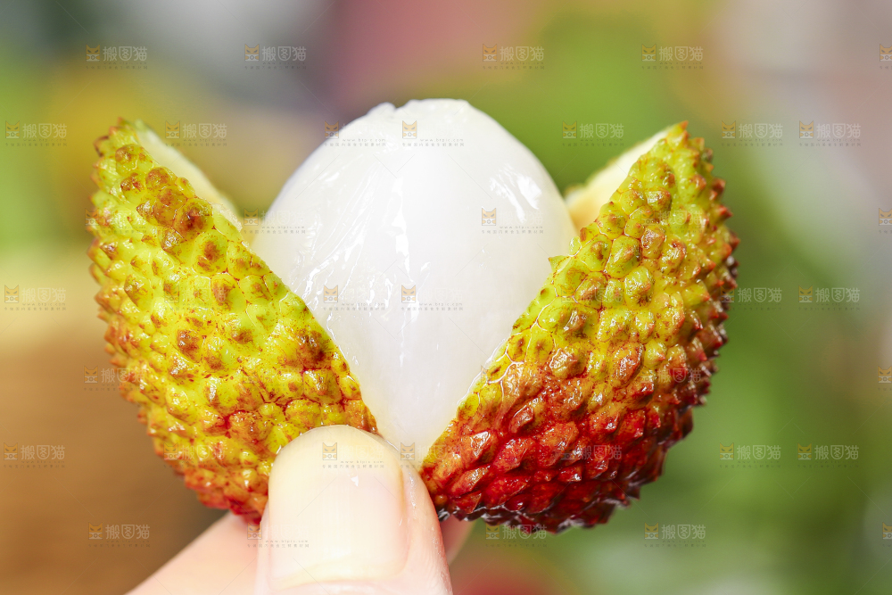 手里拿着荔枝