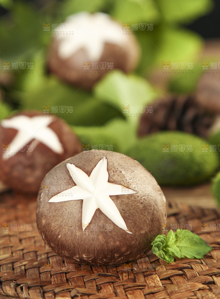 木底上摆放着新鲜香菇