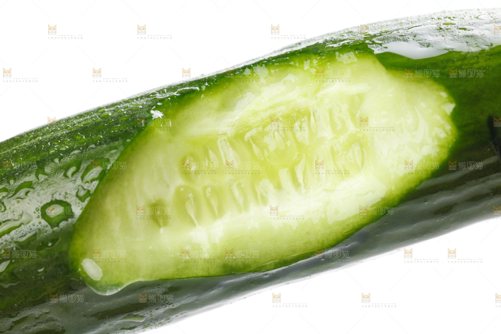 白底上摆放着山东水果黄瓜