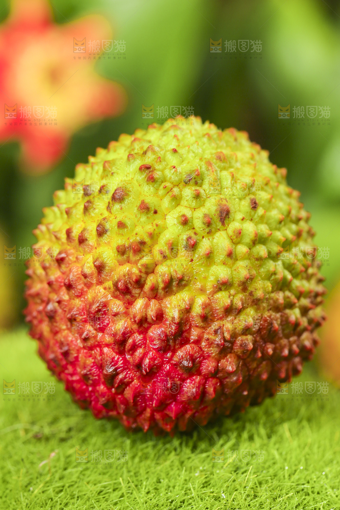 绿草地上放着鲜荔枝