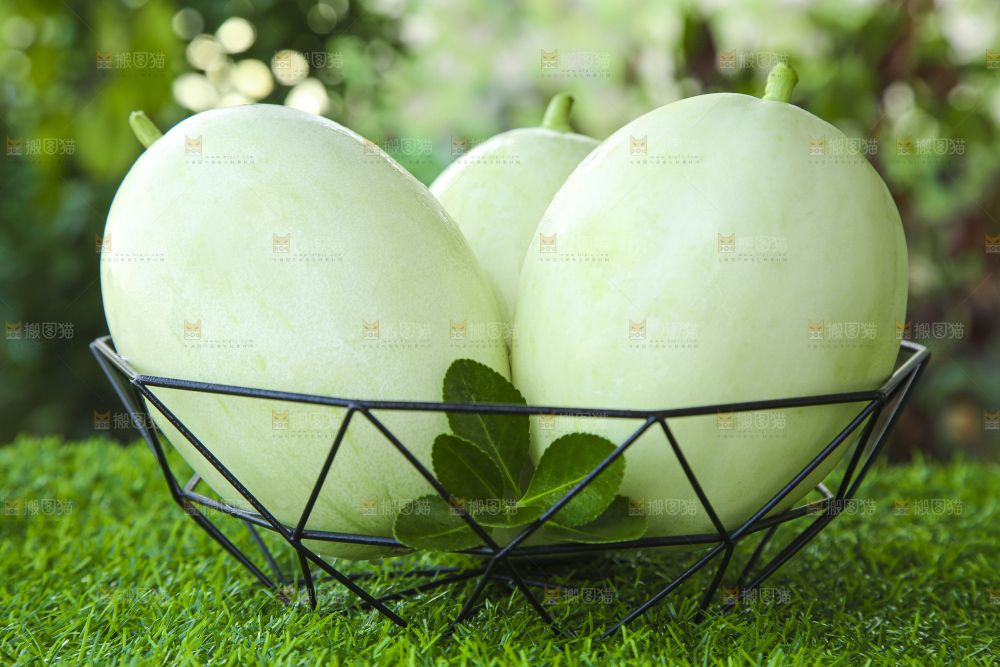 绿草地上放着一篮玉菇香瓜