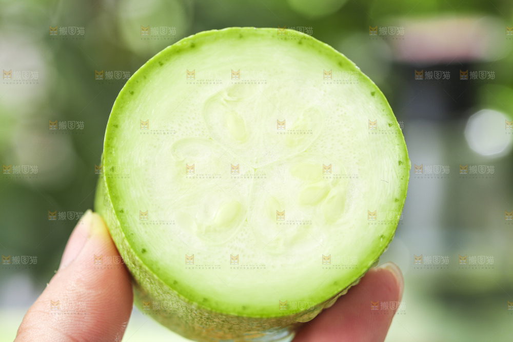 手里拿着嫩茭瓜